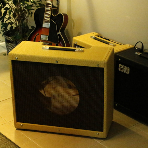Empty Guitar Combo Speaker Cabinets